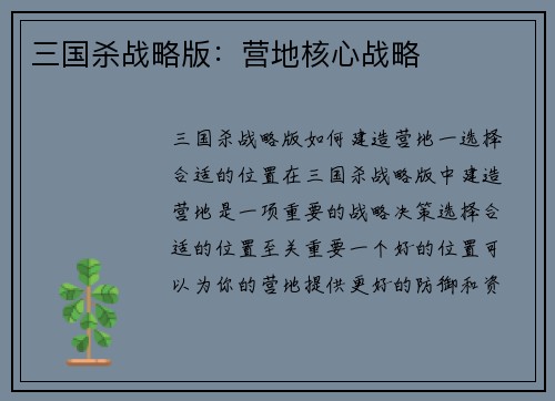 三国杀战略版：营地核心战略