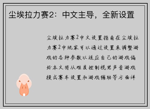 尘埃拉力赛2：中文主导，全新设置